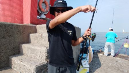 数が釣れ始めた播磨新島釣行