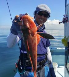 東京湾探釣隊ぼっち 釣果