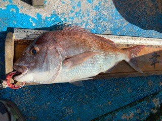 幸吉丸 釣果