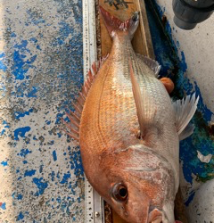 幸吉丸 釣果