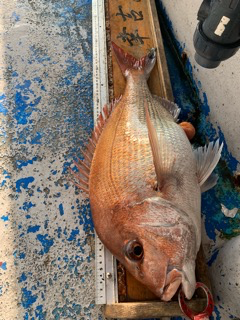 幸吉丸 釣果