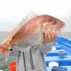 鯛紅丸 釣果