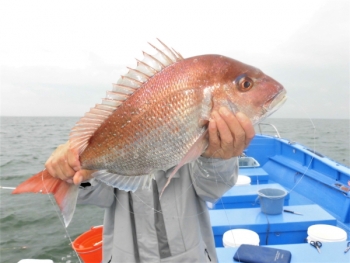 鯛紅丸 釣果