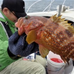 鯛紅丸 釣果