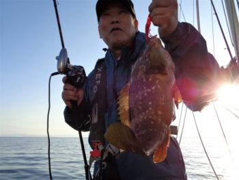 鯛紅丸 釣果