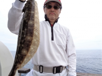 鯛紅丸 釣果