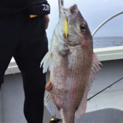 鯛紅丸 釣果