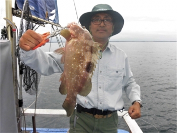 鯛紅丸 釣果