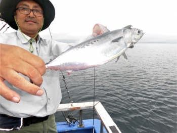 鯛紅丸 釣果