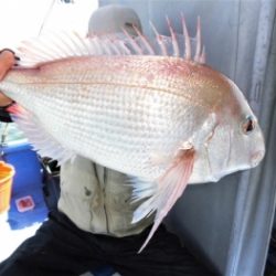 鯛紅丸 釣果