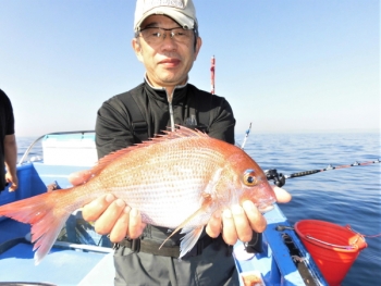 鯛紅丸 釣果