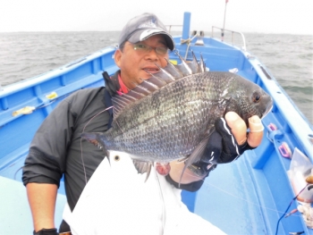 鯛紅丸 釣果