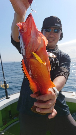 松栄丸 釣果