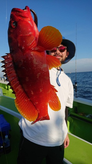 松栄丸 釣果