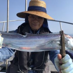 釣船 浦島太郎 釣果