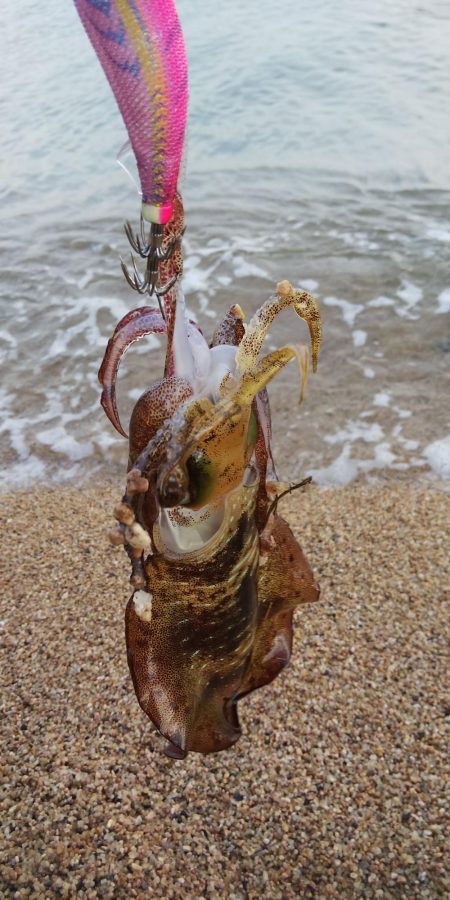 外海釣行