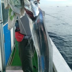 小島丸 釣果