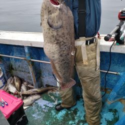 芳陽丸 釣果