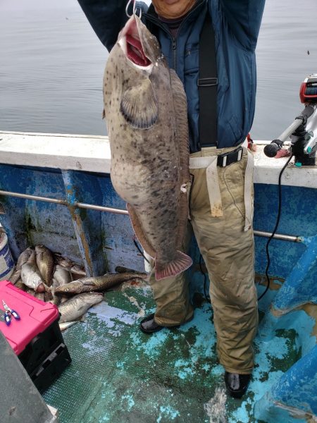 芳陽丸 釣果