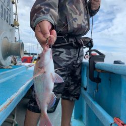 みやけ丸 釣果