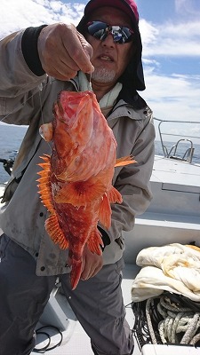 海龍丸（福岡） 釣果