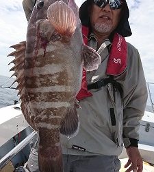 海龍丸（福岡） 釣果