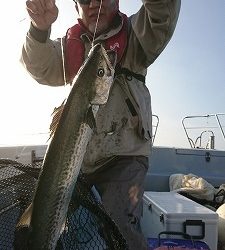 海龍丸（福岡） 釣果