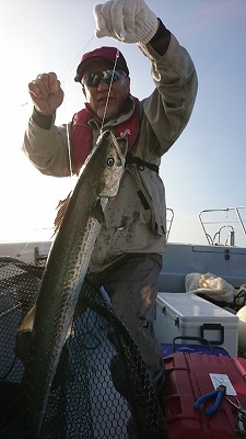 海龍丸（福岡） 釣果