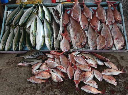 明神釣船 釣果