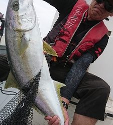 海龍丸（福岡） 釣果