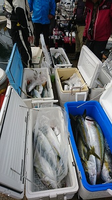 海龍丸（福岡） 釣果