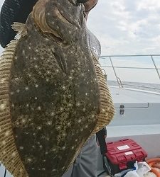 海龍丸（福岡） 釣果