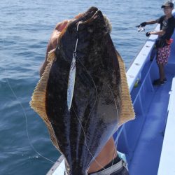 松鶴丸 釣果