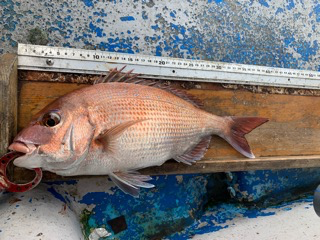 幸吉丸 釣果