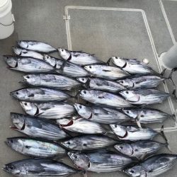 へいみつ丸 釣果