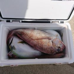 たかみ丸 釣果