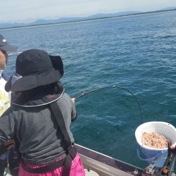 海峰 釣果