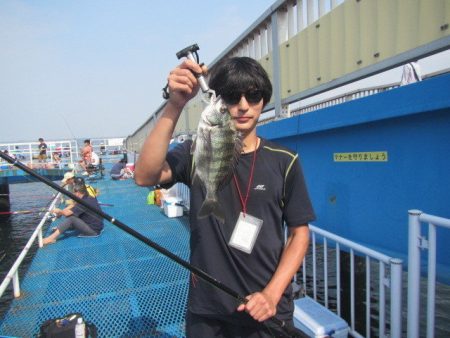 オリジナルメーカー海づり公園(市原市海づり施設) 釣果