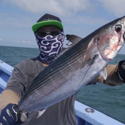 松鶴丸 釣果