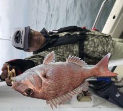 白墨丸 釣果