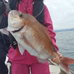 海峰 釣果