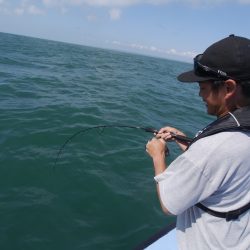 松鶴丸 釣果