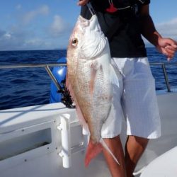 開進丸 釣果