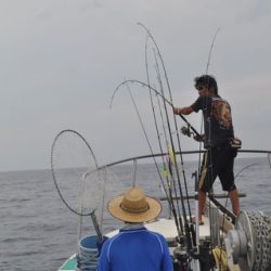 八海丸 釣果