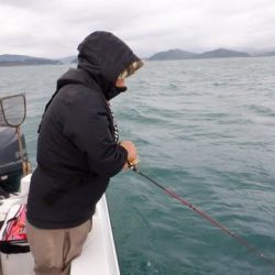 開進丸 釣果