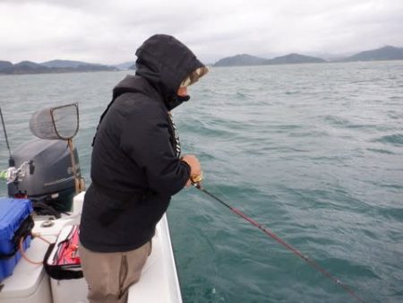 開進丸 釣果