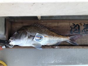 白墨丸 釣果