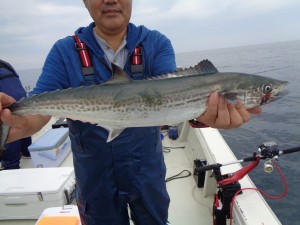 兼六丸 釣果