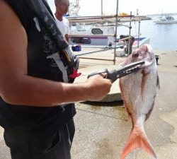 功成丸 釣果