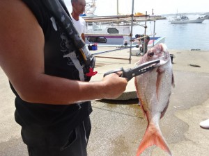 功成丸 釣果